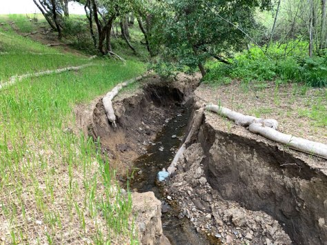 GGNRA-beefranch-stream2