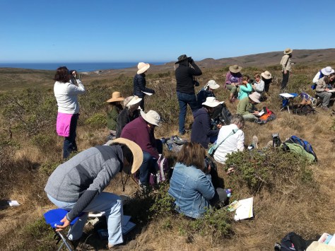 coastal-prairie-fieldtrip