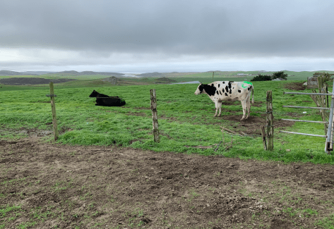 Screen Shot 2020-05-24 at 10.44.23 PM