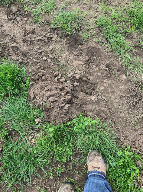 Screen Shot 2020-05-24 at 10.46.42 PM