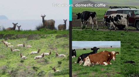 Screen Shot 2020-05-24 at 9.26.50 PM