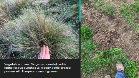 Screen Shot 2020-05-24 at 9.27.02 PM