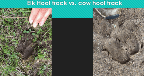 Screen Shot 2020-05-24 at 9.27.14 PM