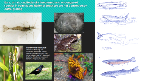 Screen Shot 2020-05-24 at 9.27.51 PM