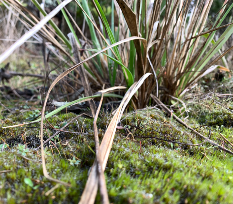 Screen Shot 2020-05-24 at 9.32.28 PM