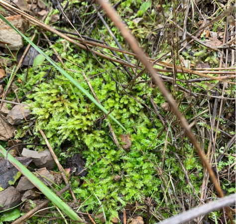 Screen Shot 2020-05-24 at 9.37.40 PM